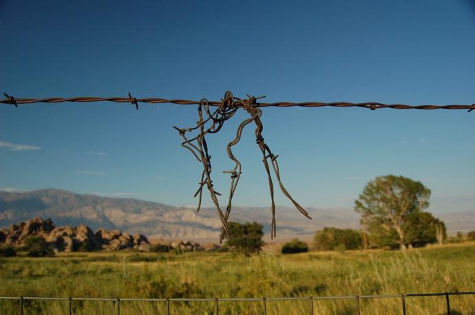 Field Photo